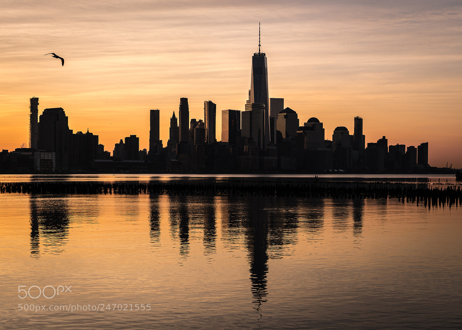 Sony a7R III sample photo. 7:22 am photography