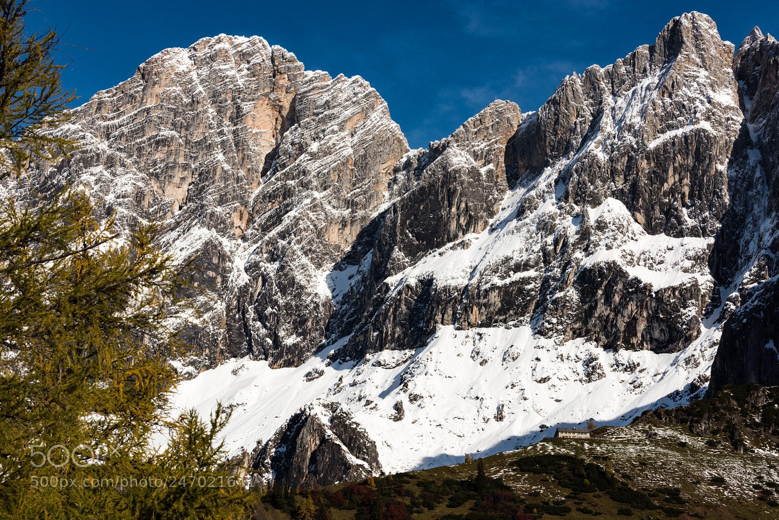 Nikon D810 sample photo. Dachstein photography