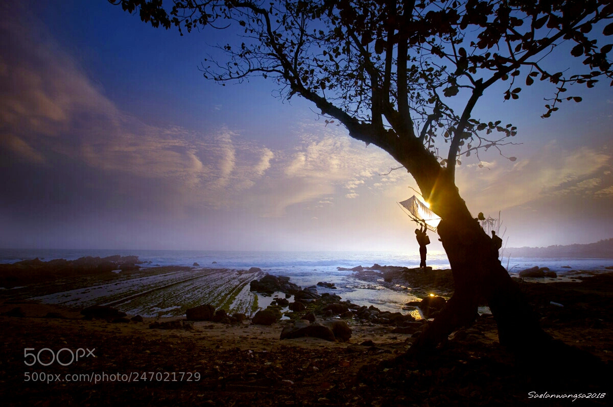 Nikon D70 sample photo. Sunset photography