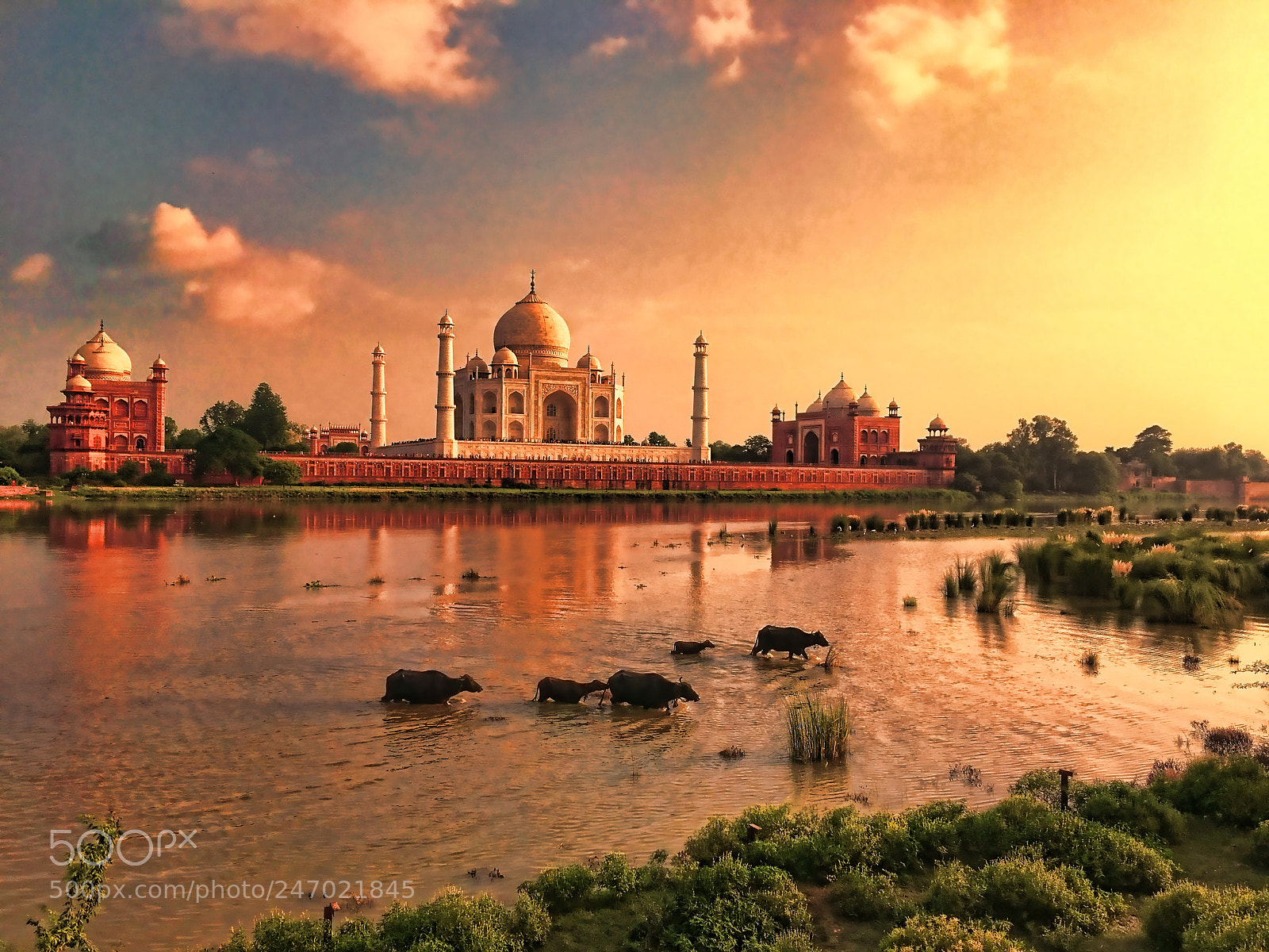 Apple iPhone 6s Plus sample photo. Taj mahal world's most photography