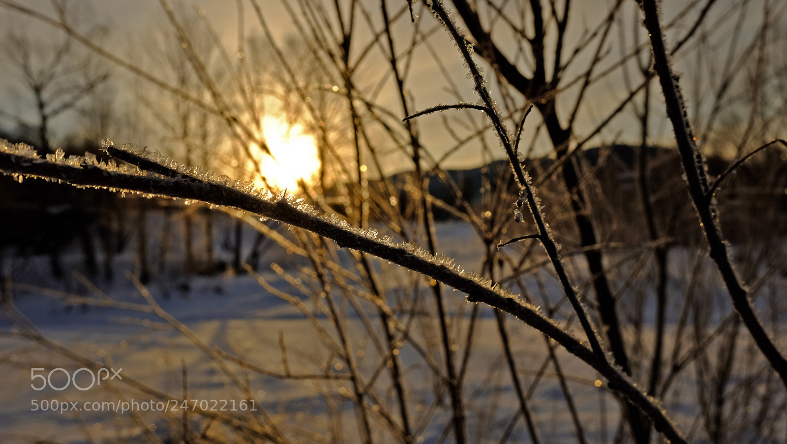 Fujifilm X70 sample photo. Szron photography