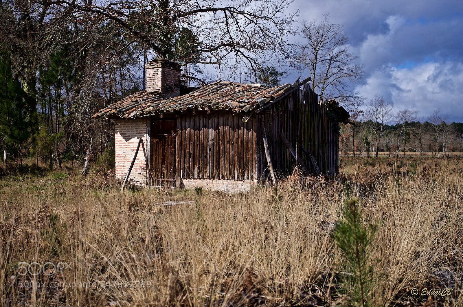 Pentax K-5 sample photo. Old abandoned hut photography