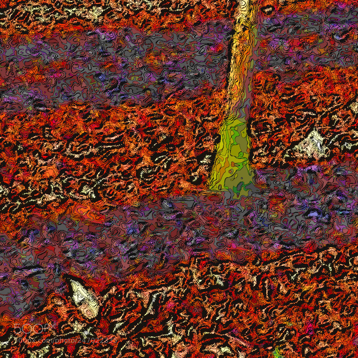 Panasonic Lumix DMC-ZS50 (Lumix DMC-TZ70) sample photo. Forest floor photography