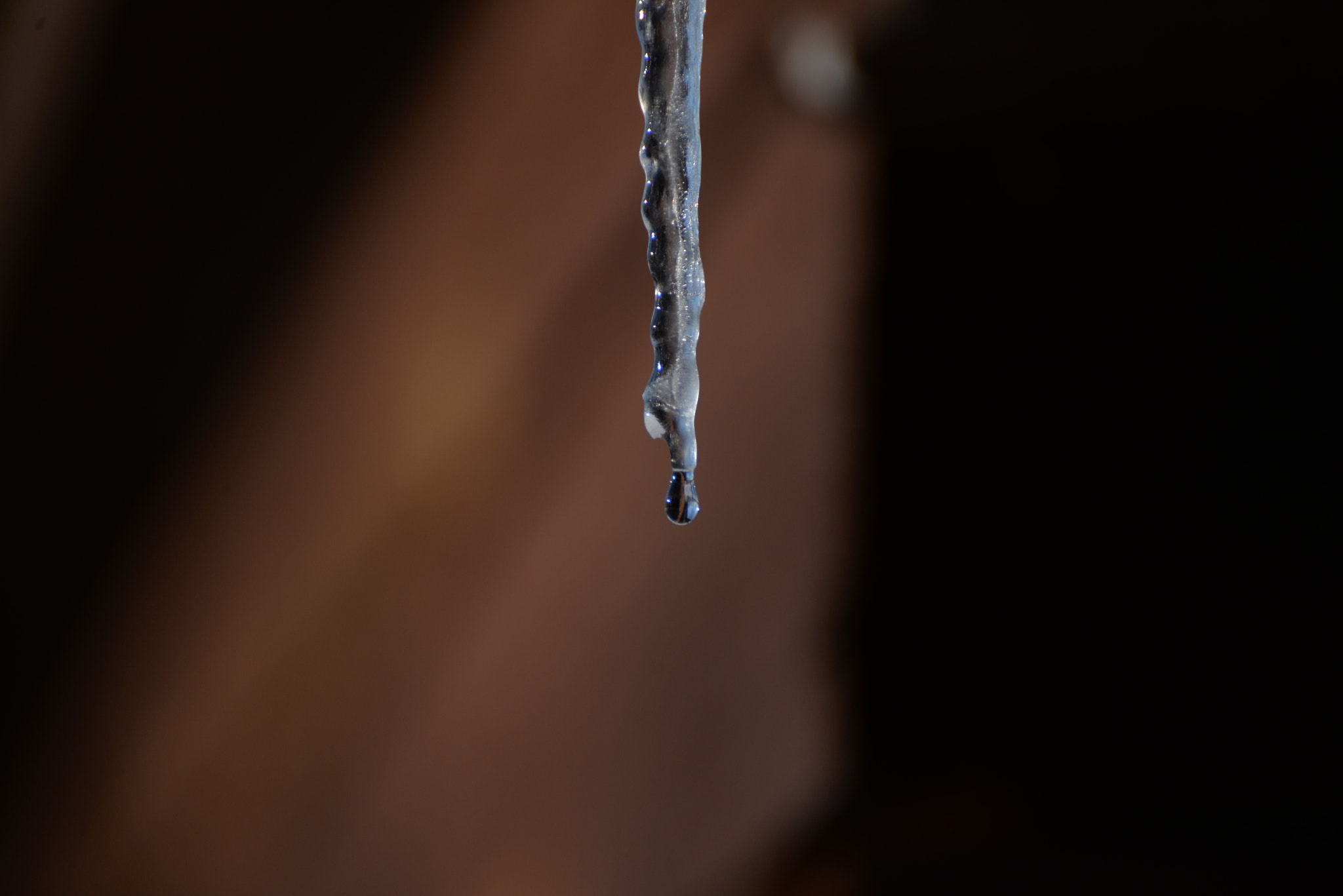 Nikon D610 sample photo