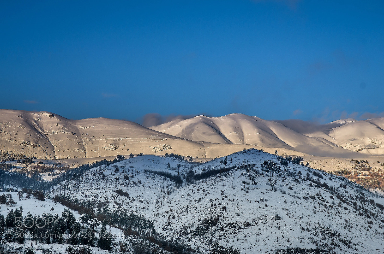 Pentax K-5 sample photo. Snow time photography