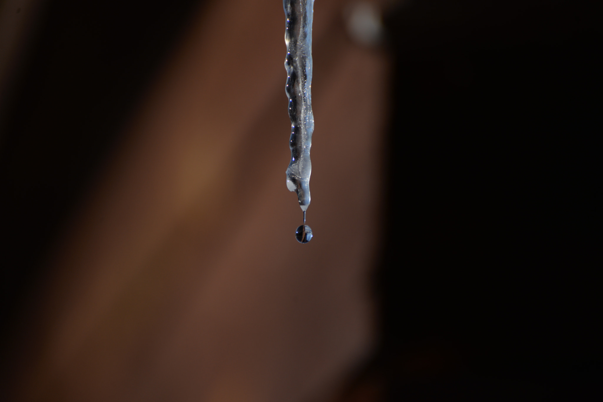 Nikon D610 sample photo