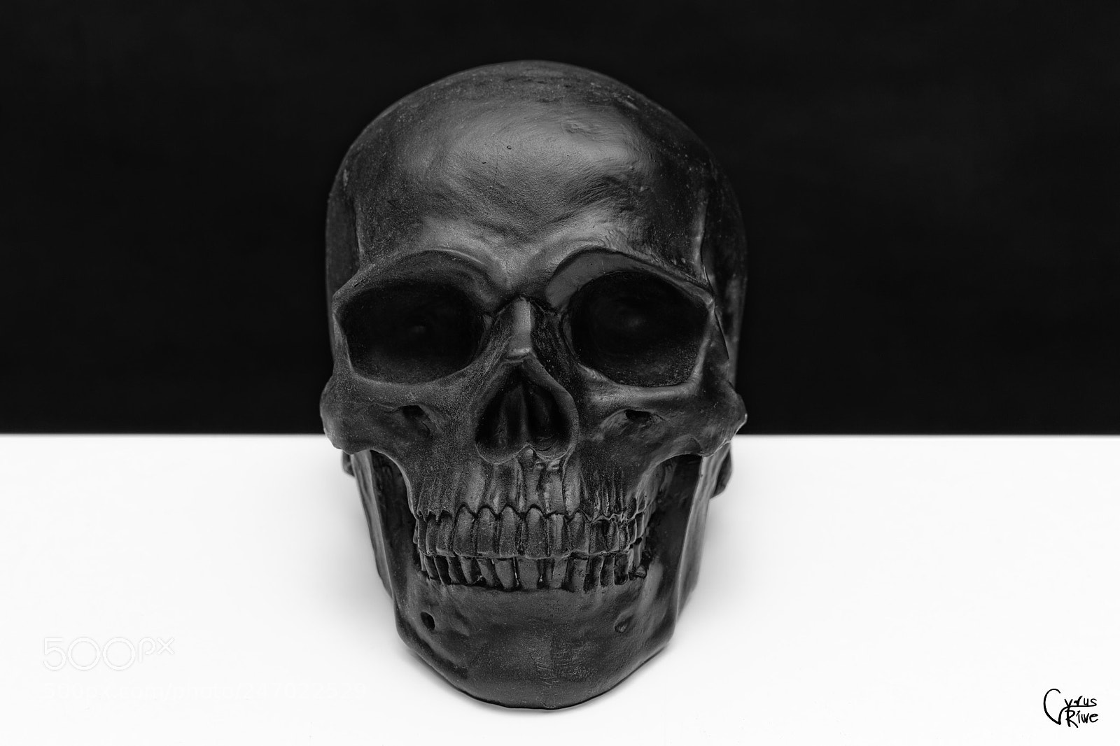 Nikon D3100 sample photo. Mr skull photography