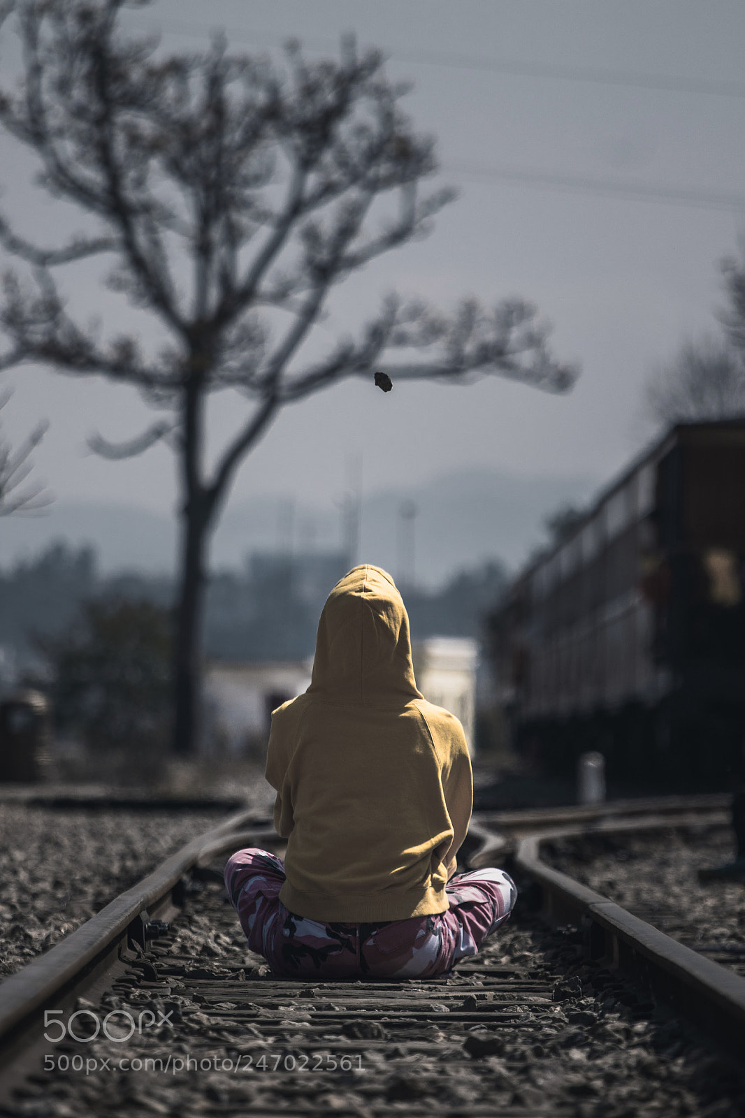 Canon EOS 7D Mark II sample photo. Rail photography
