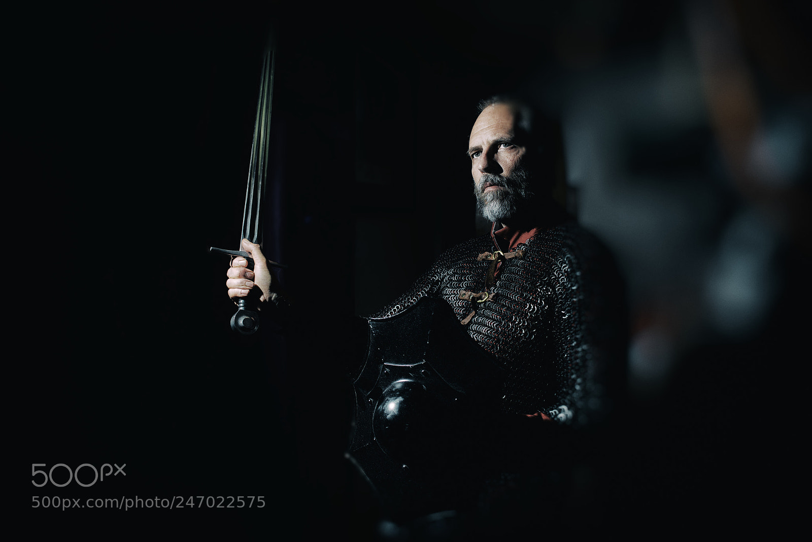 Nikon D800 sample photo. The sword fighter photography
