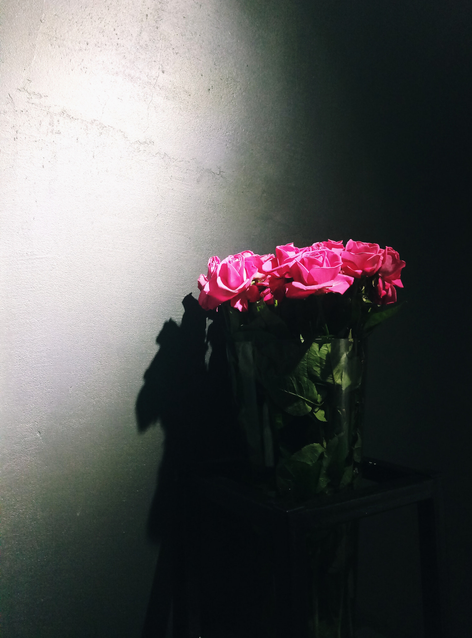 Meizu M3 Max sample photo