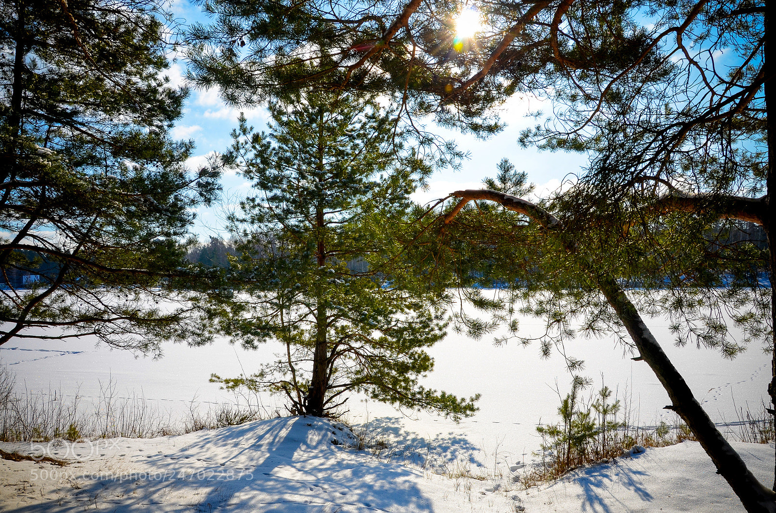 Nikon D5100 sample photo. Cold, sunny february day photography
