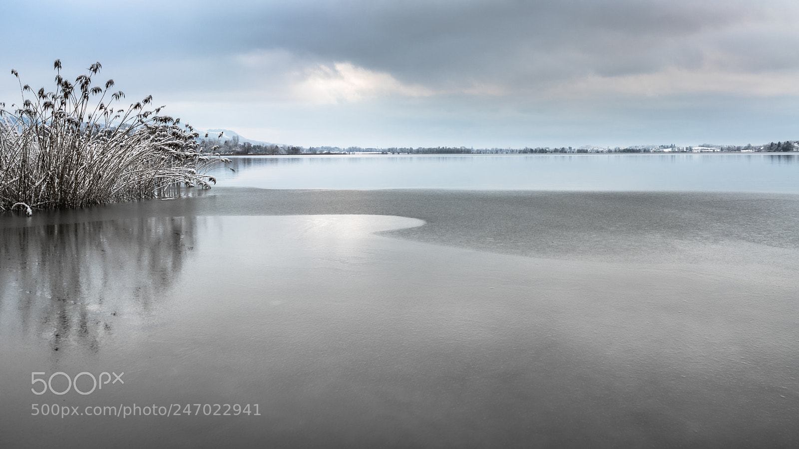 Sony a7R II sample photo. Icy photography