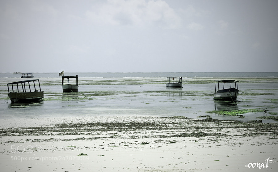 Canon EOS 500D (EOS Rebel T1i / EOS Kiss X3) sample photo. Fishing finished for the photography