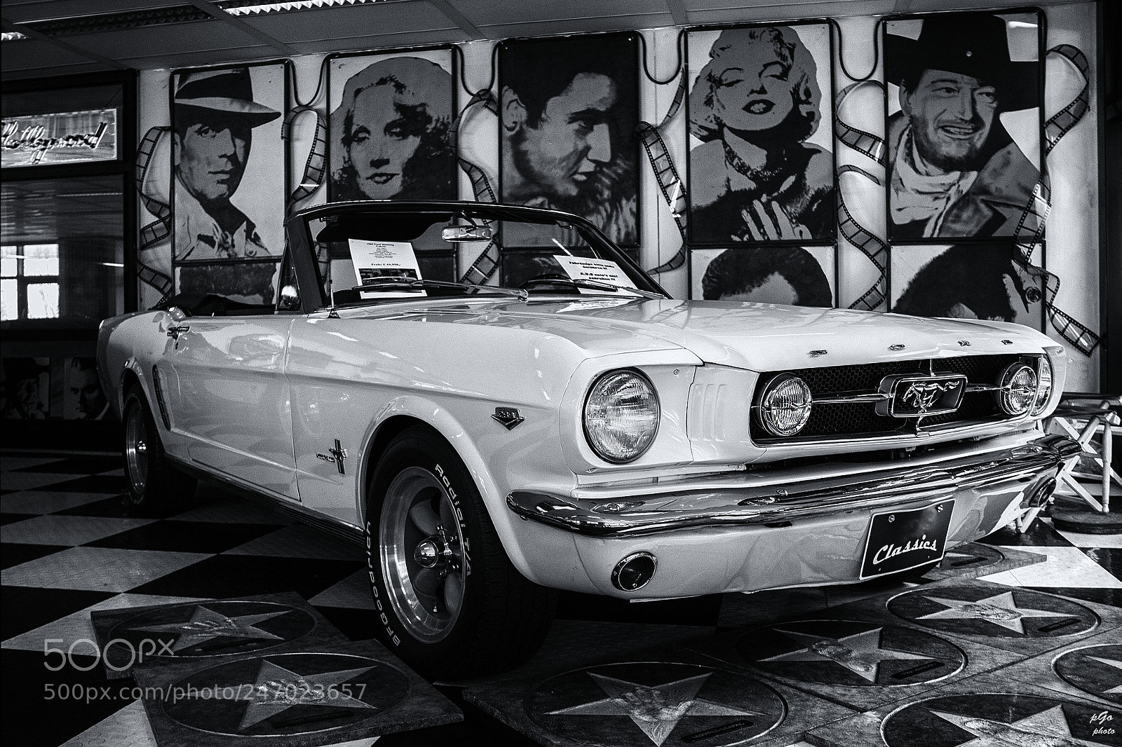 Canon EOS 600D (Rebel EOS T3i / EOS Kiss X5) sample photo. Mustang photography