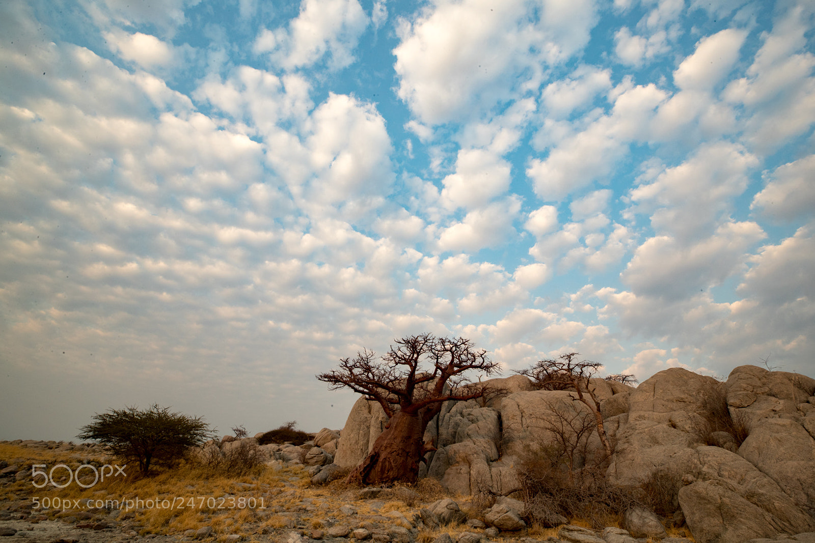 Canon EOS-1D X Mark II sample photo. Kubu island clouds... photography
