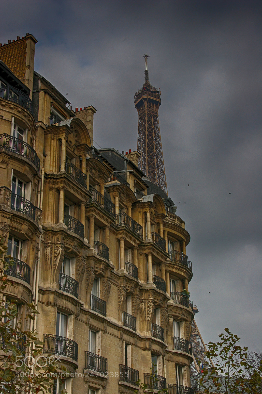 Canon EOS 20D sample photo. Paris foto photography