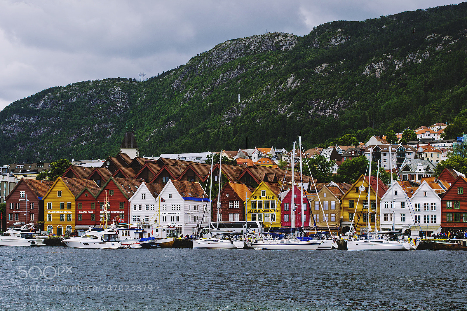 Nikon D3100 sample photo. Bergen photography
