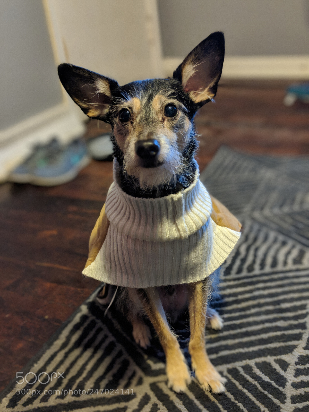 Google Pixel 2 XL sample photo. Lil` weezy photography