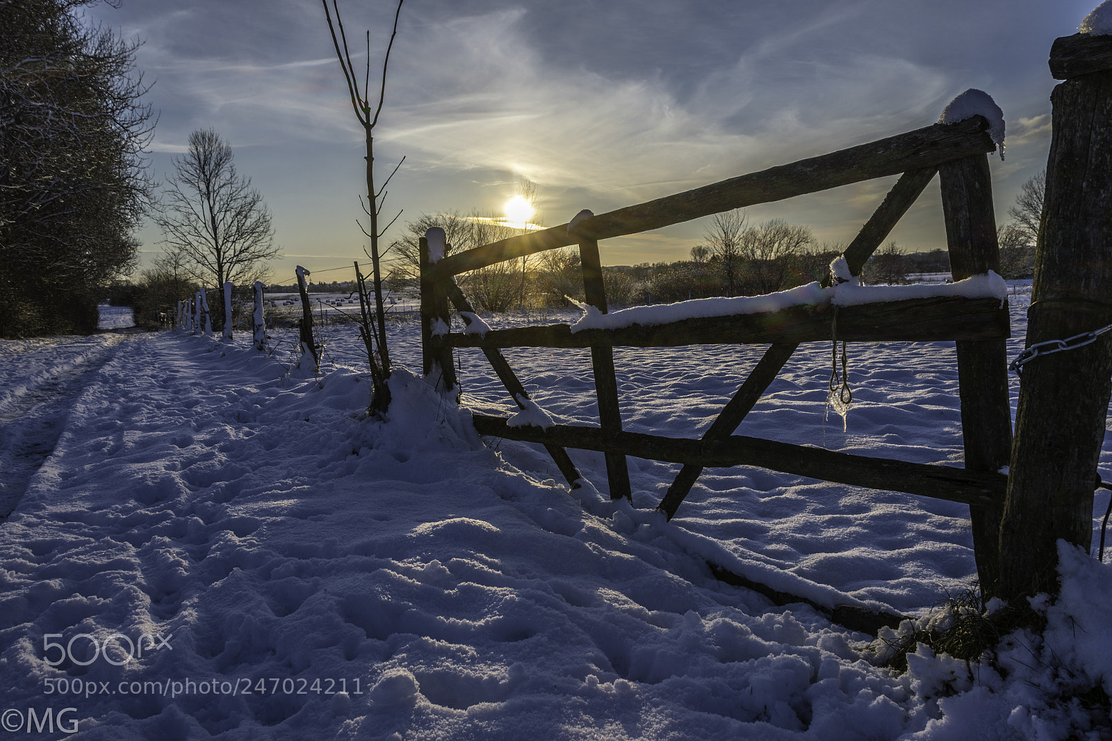 Nikon D500 sample photo. Winter feeling in my photography