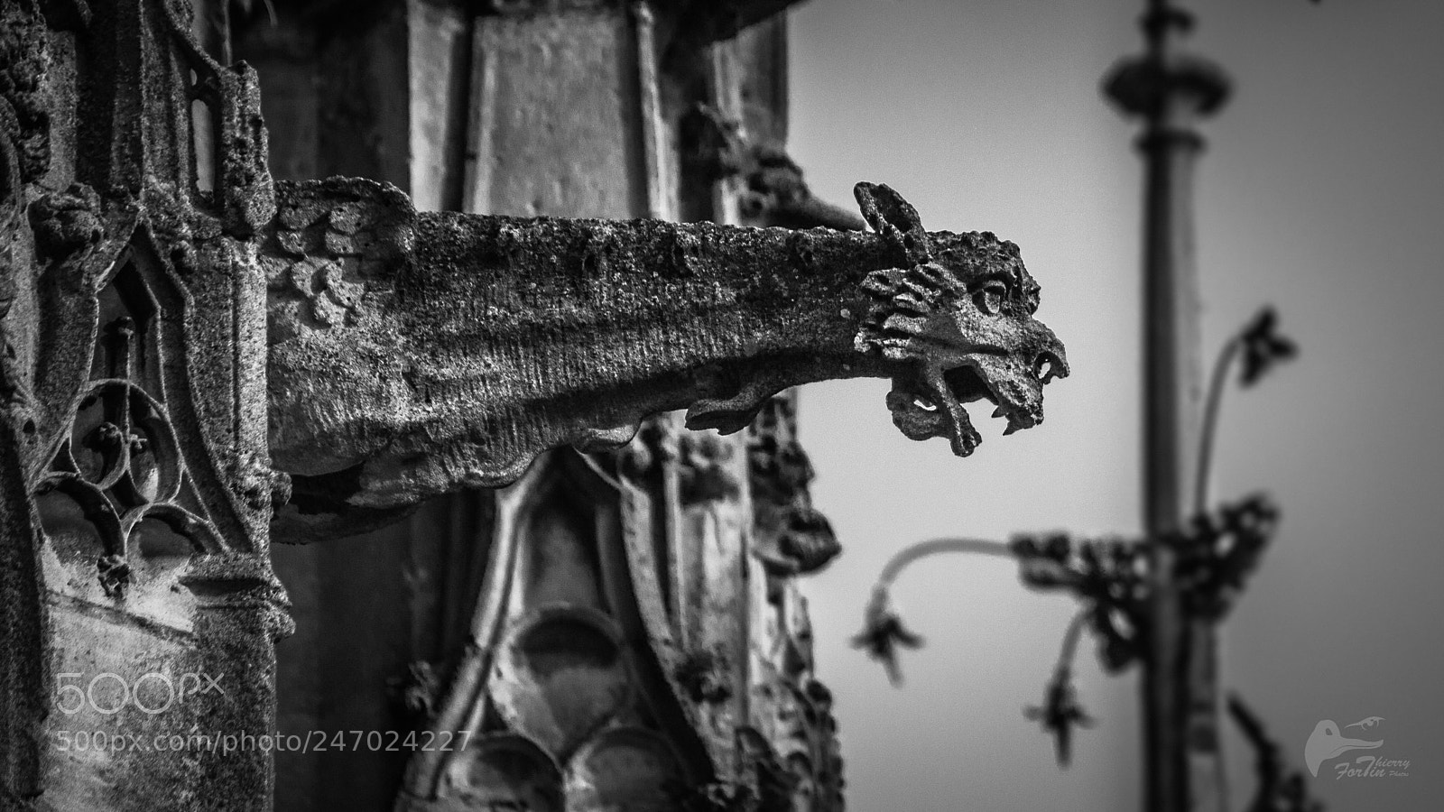 Canon EOS 700D (EOS Rebel T5i / EOS Kiss X7i) sample photo. Gargouille senlis photography