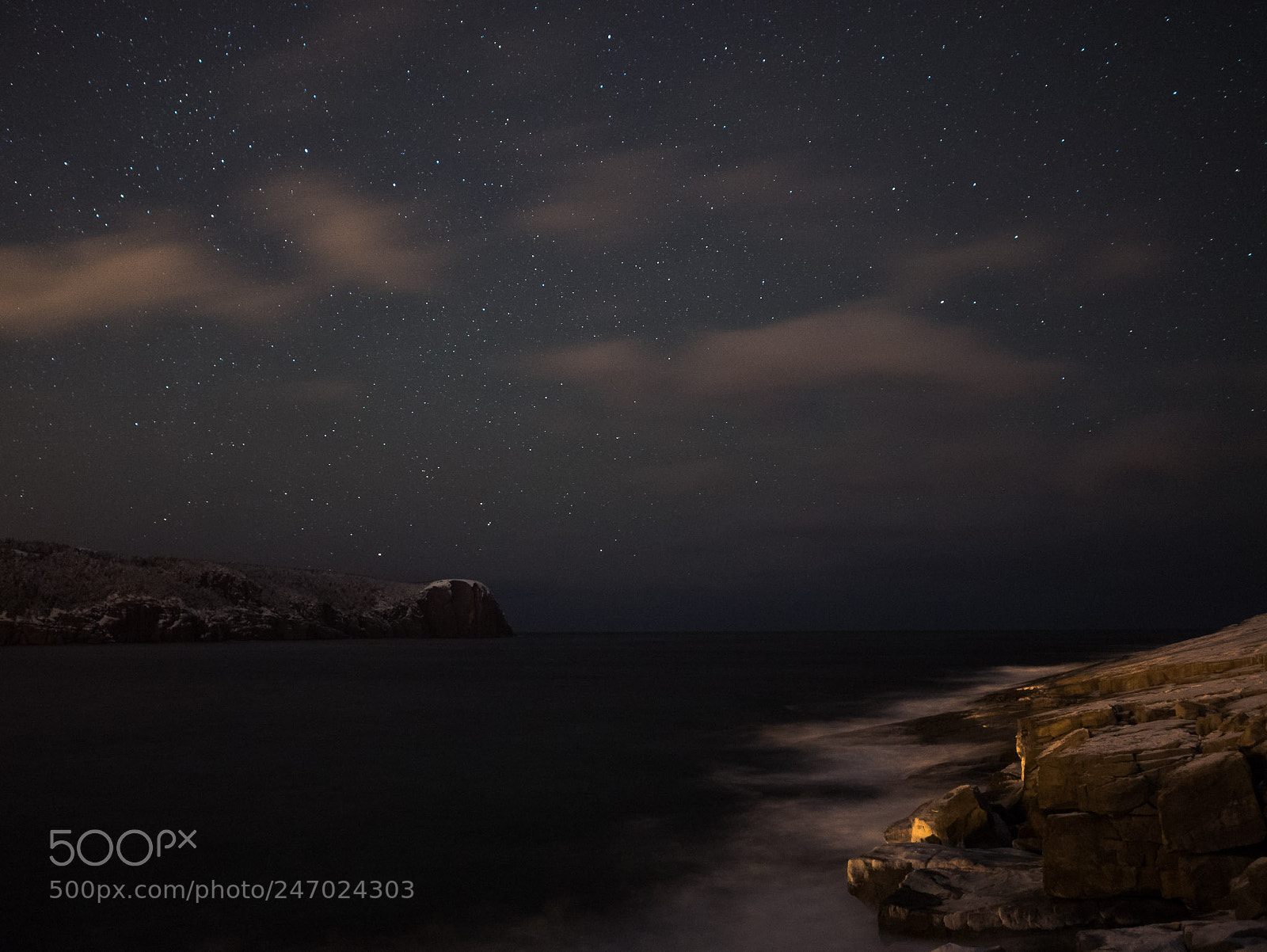 Panasonic Lumix DMC-GX85 (Lumix DMC-GX80 / Lumix DMC-GX7 Mark II) sample photo. Stars over red head photography
