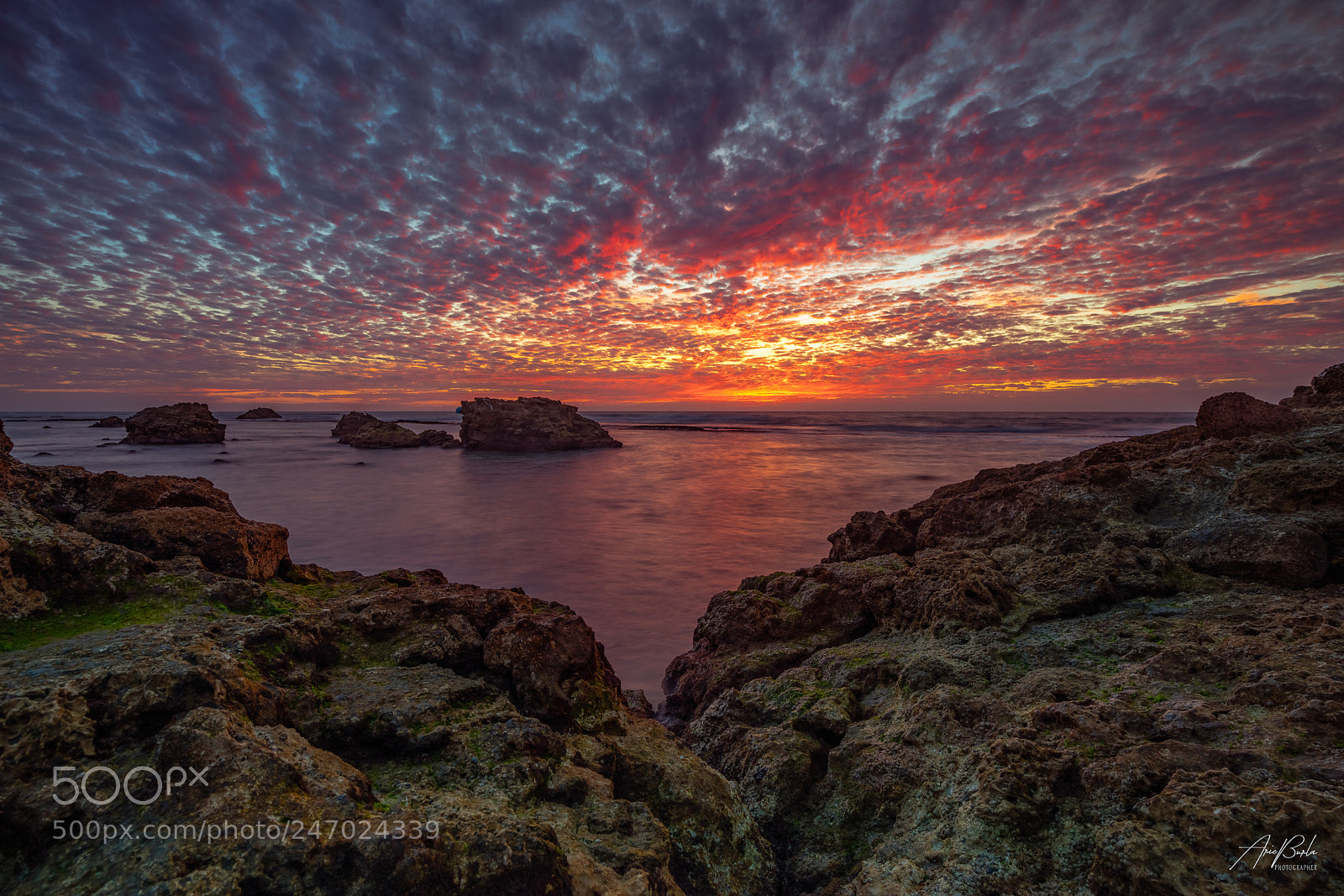 Sony a7R II sample photo. Red s photography