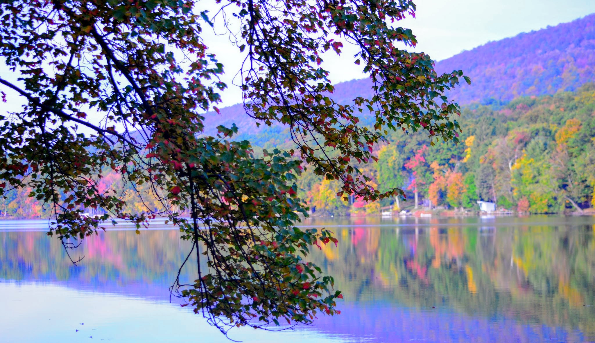 Nikon D800 sample photo. Color splash photography