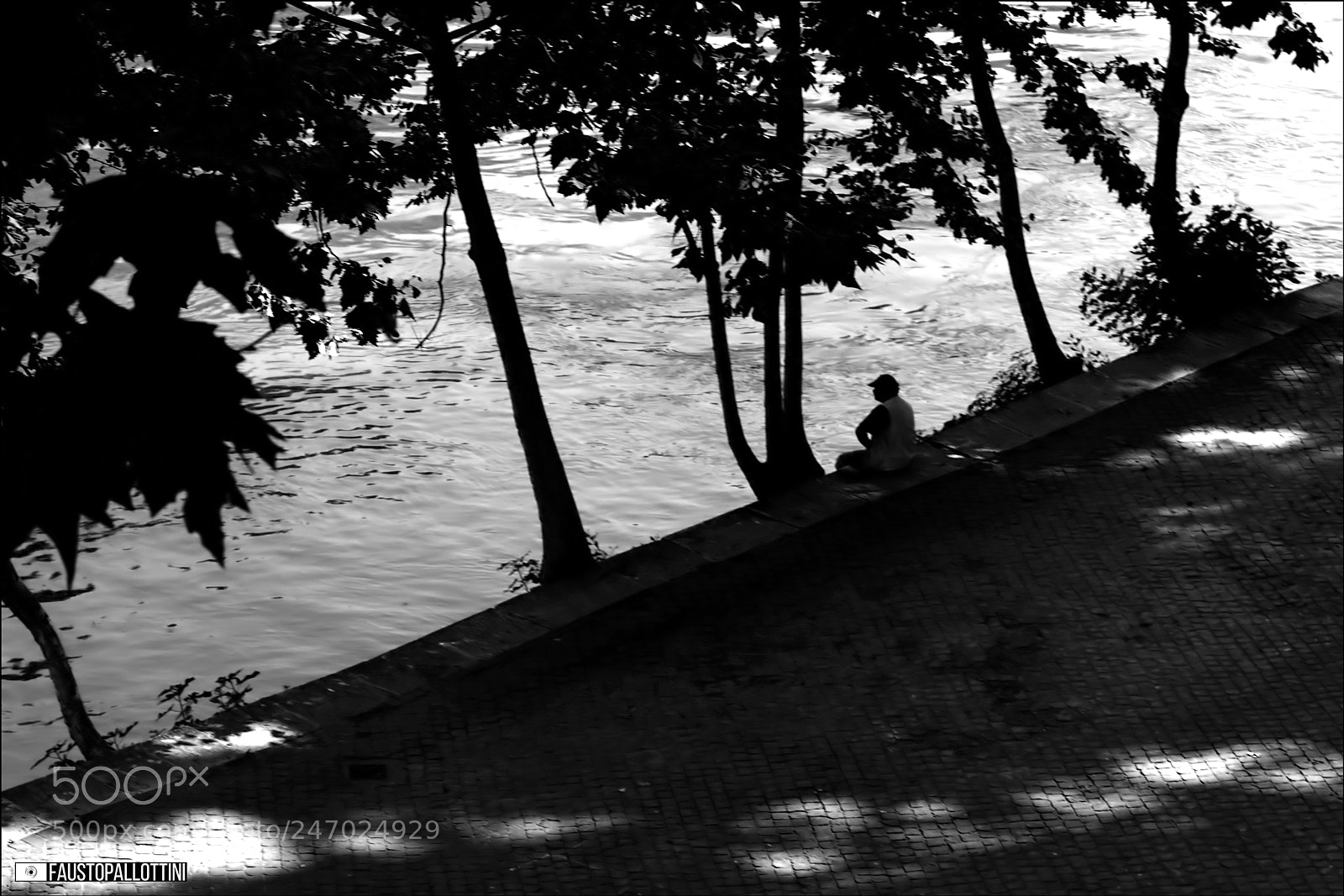 Nikon D200 sample photo. " along the riverbank" photography