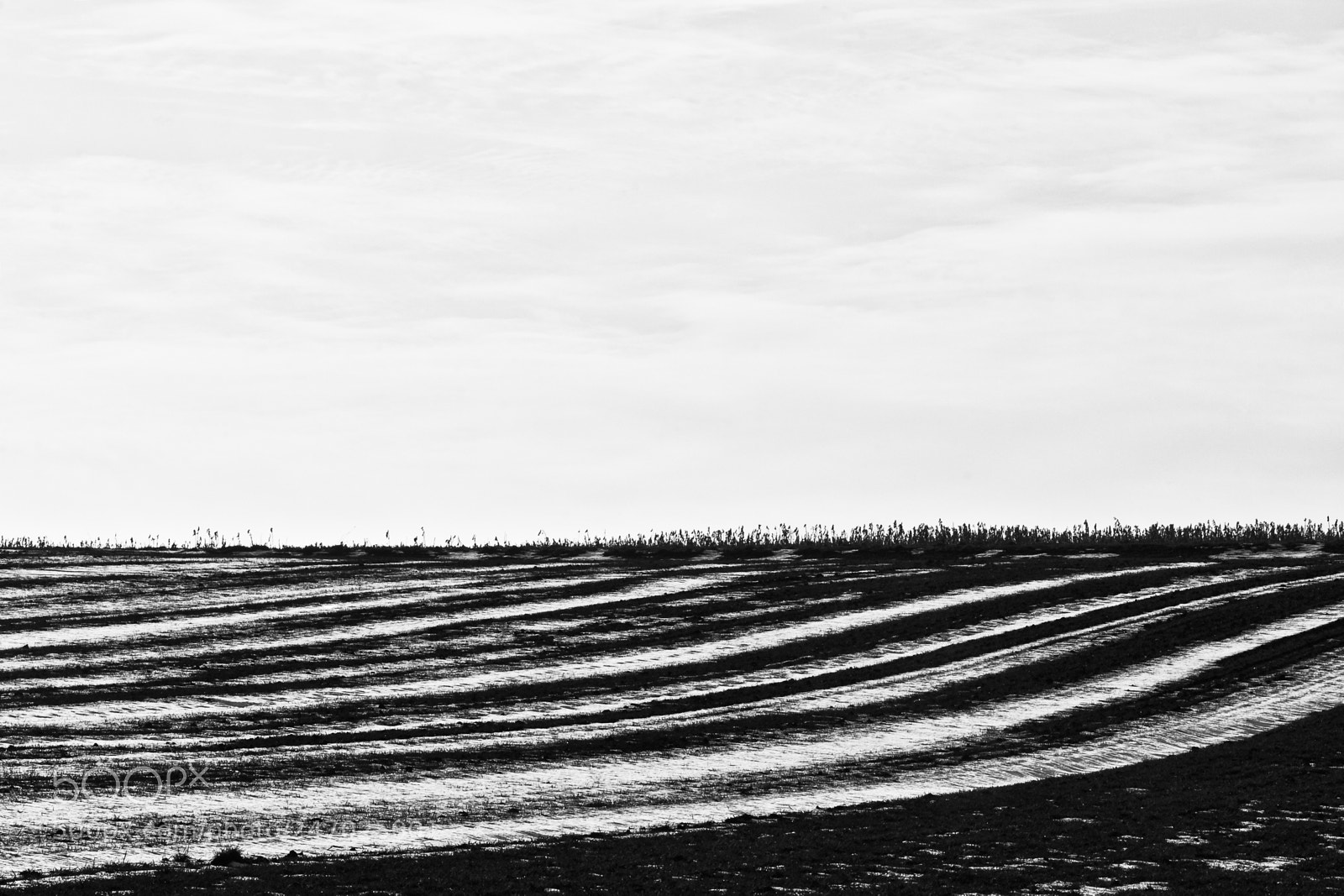 Canon EOS 60D sample photo. Frosty day photography