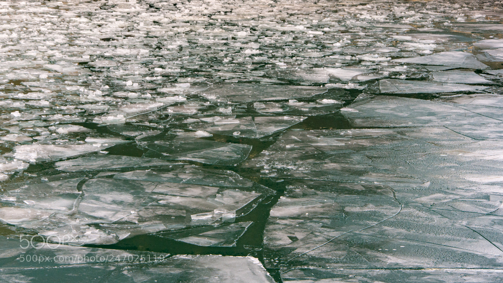 Nikon D7200 sample photo. River ice // chicago photography