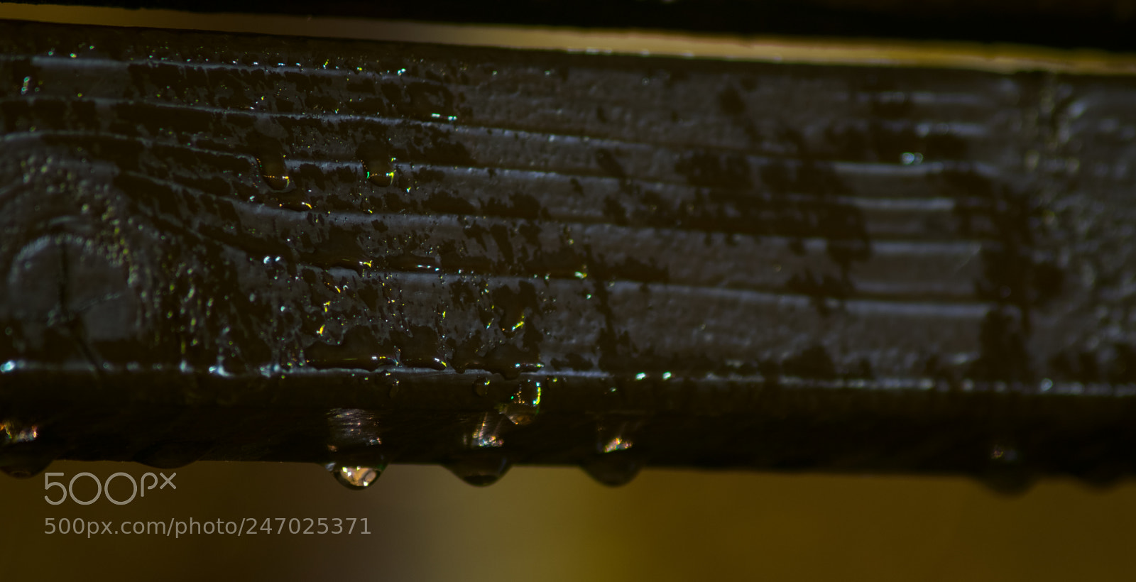Nikon D3400 sample photo. Water drops photography
