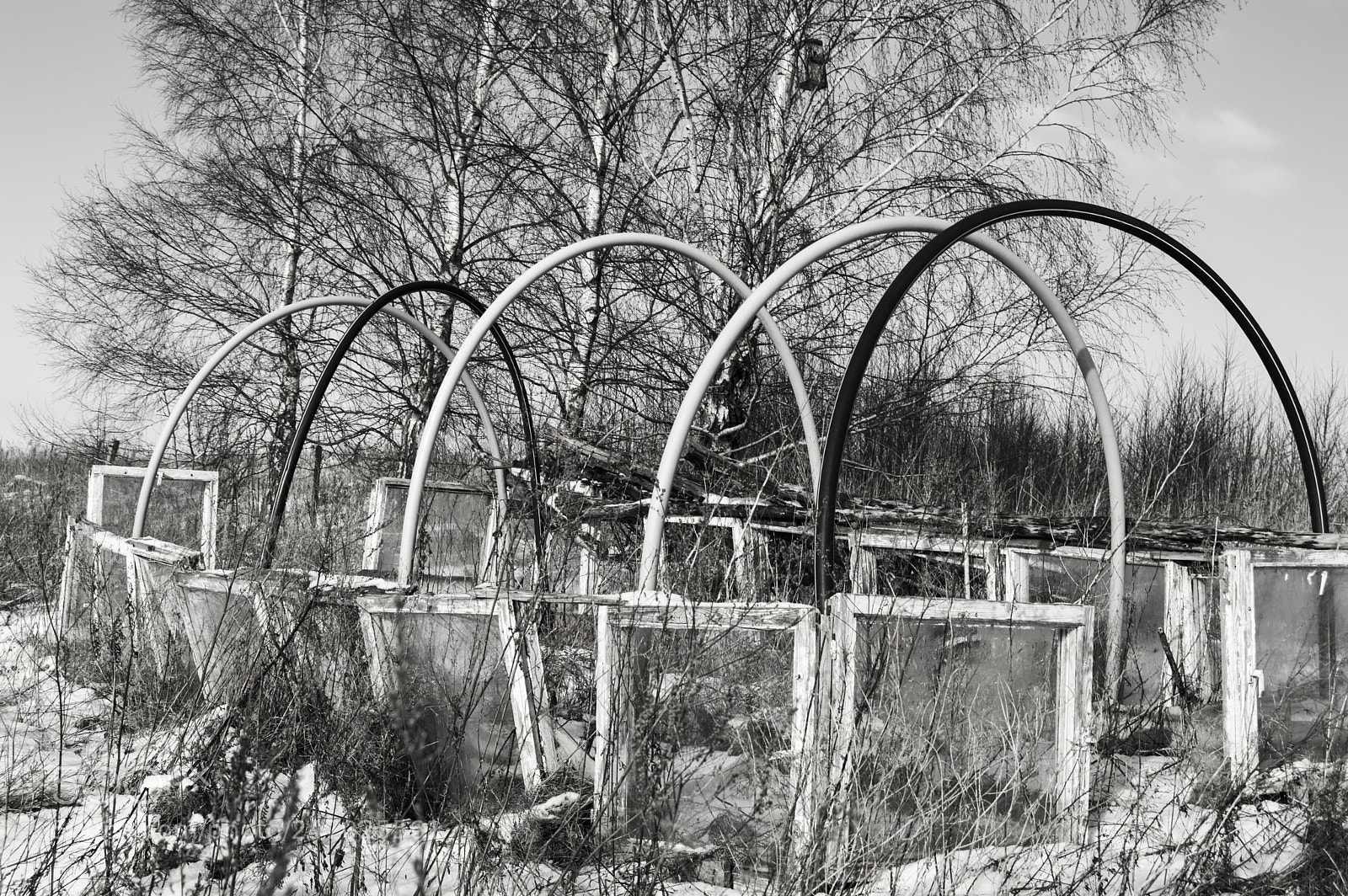 Nikon D3200 sample photo. Left and not found 2. photography