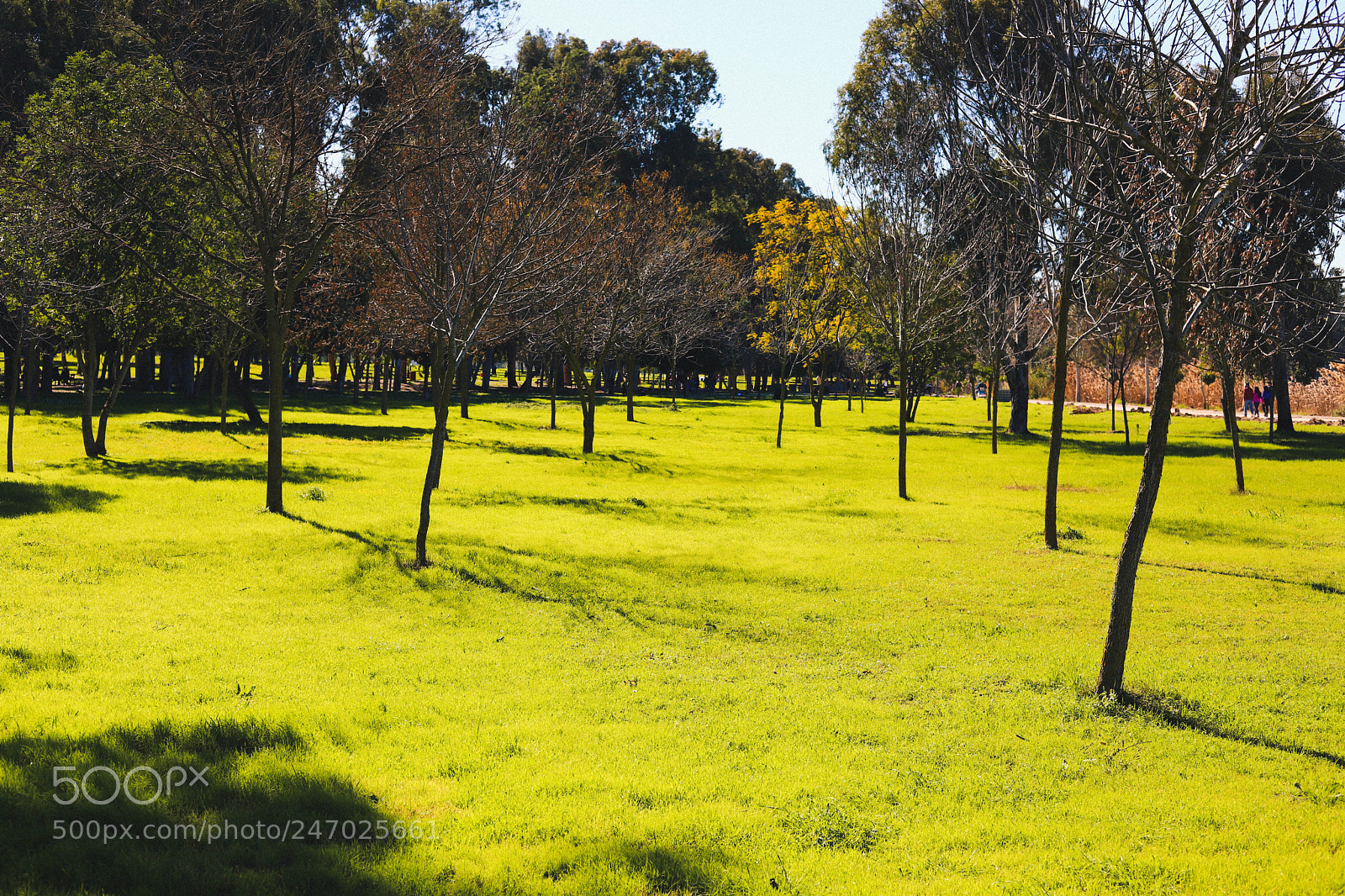 Canon EOS 6D Mark II sample photo. Spring photography