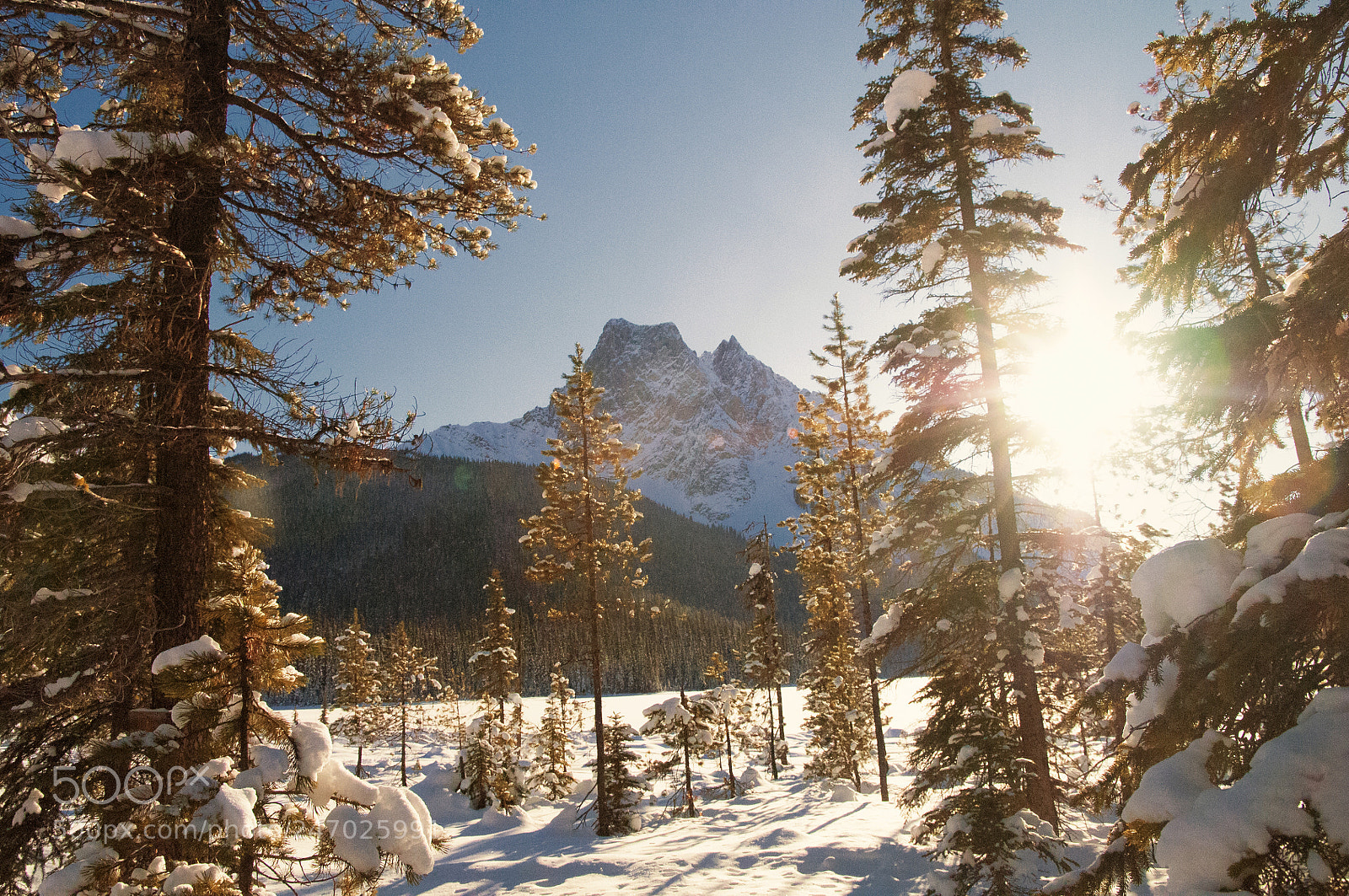 Nikon D300 sample photo. Wintertime photography