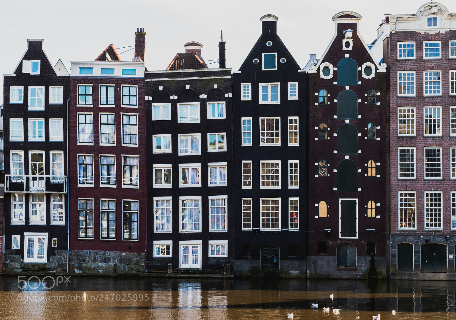 Canon EOS 80D sample photo. Canal houses in amsterdam photography