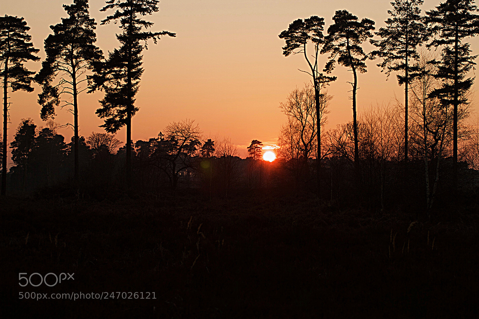 Canon EOS 7D sample photo. Sunset photography