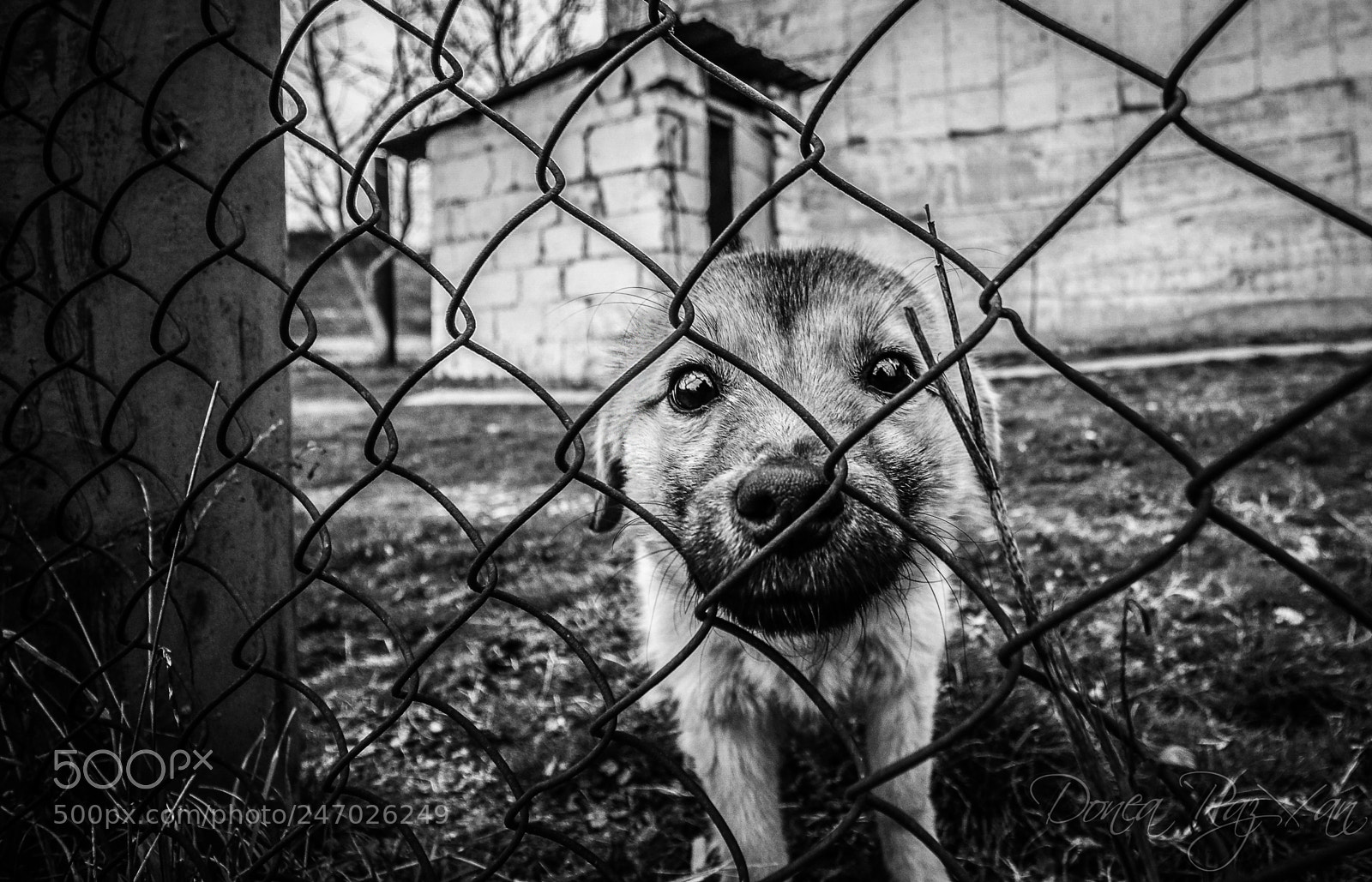 Canon EOS 7D Mark II sample photo. What does freedom mean photography