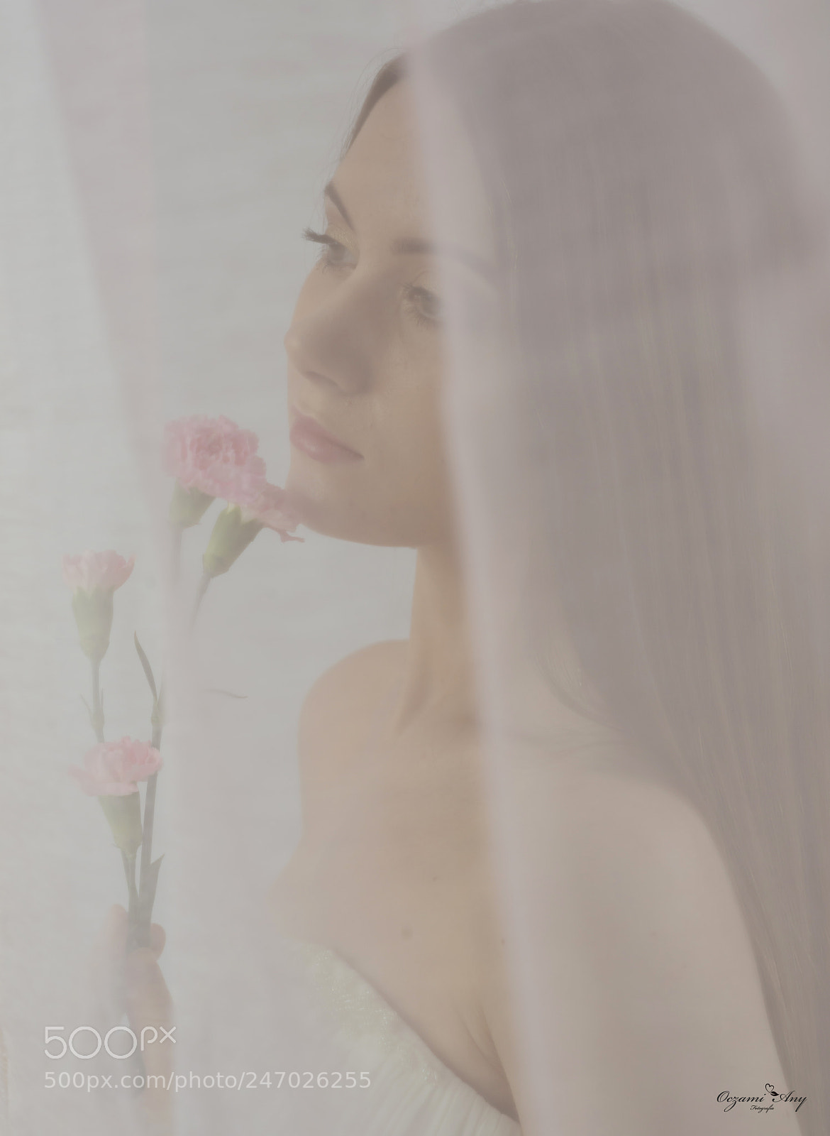 Nikon D610 sample photo. Dominica photography