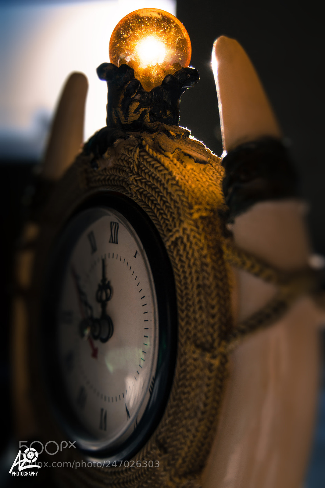 Nikon D3100 sample photo. Sun light photography