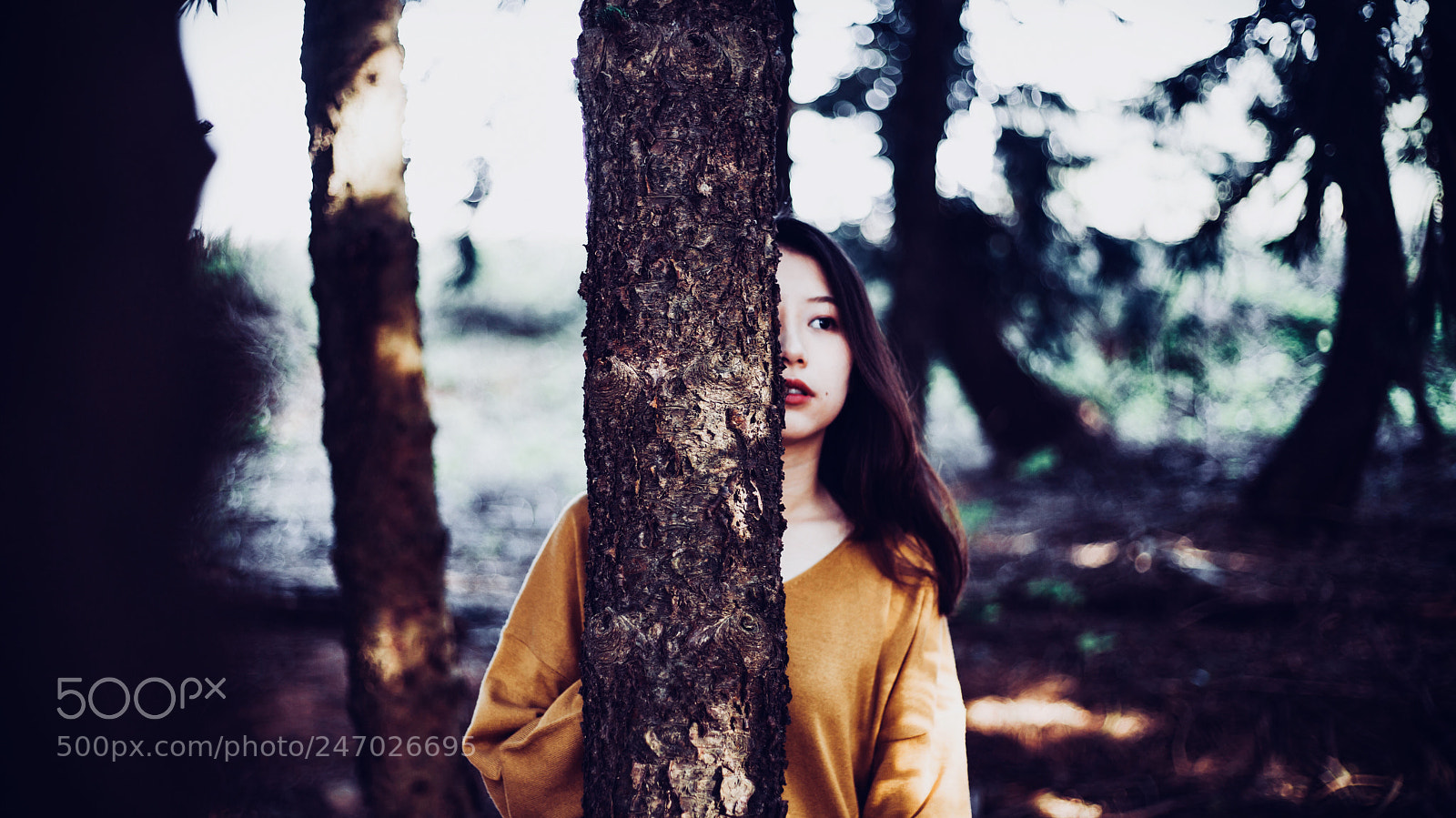 Sony a7 II sample photo. Forest x girl x photography