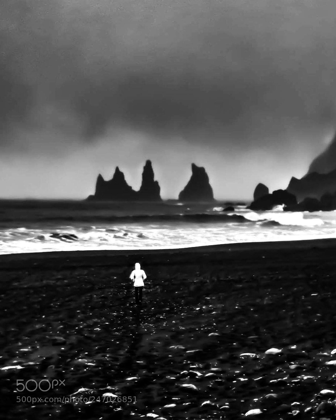 Canon EOS 80D sample photo. “creatures of the sea” photography
