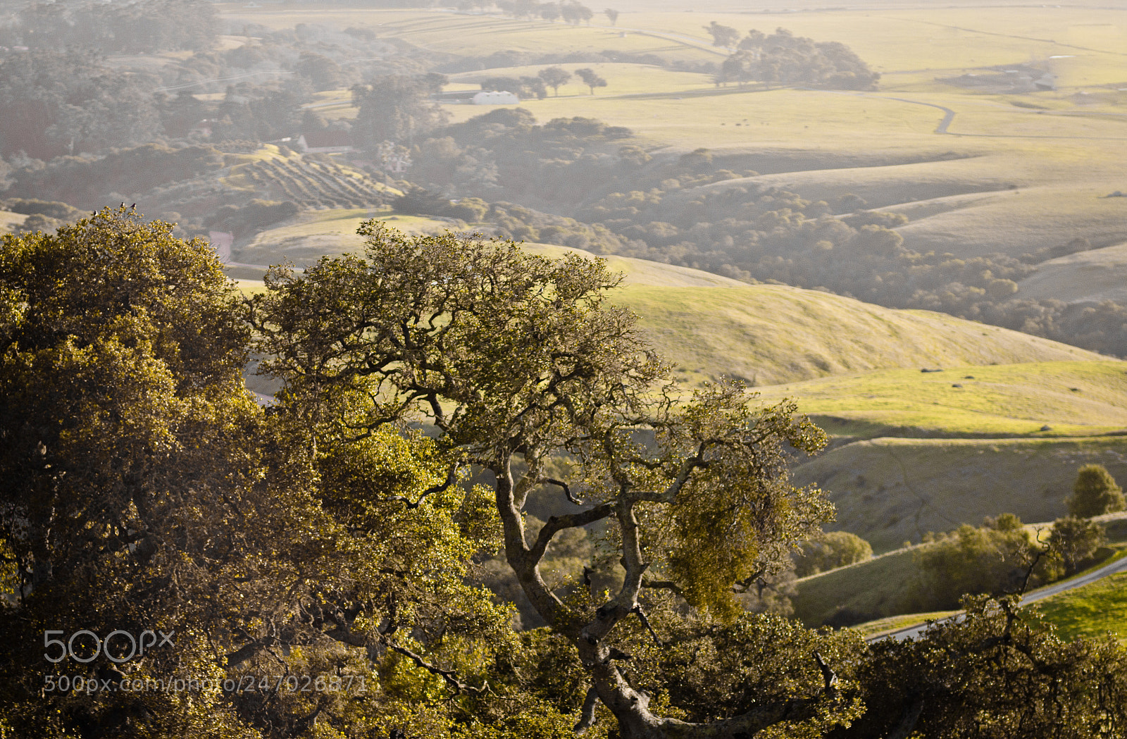 Canon EOS 60D sample photo. San simeon hills photography