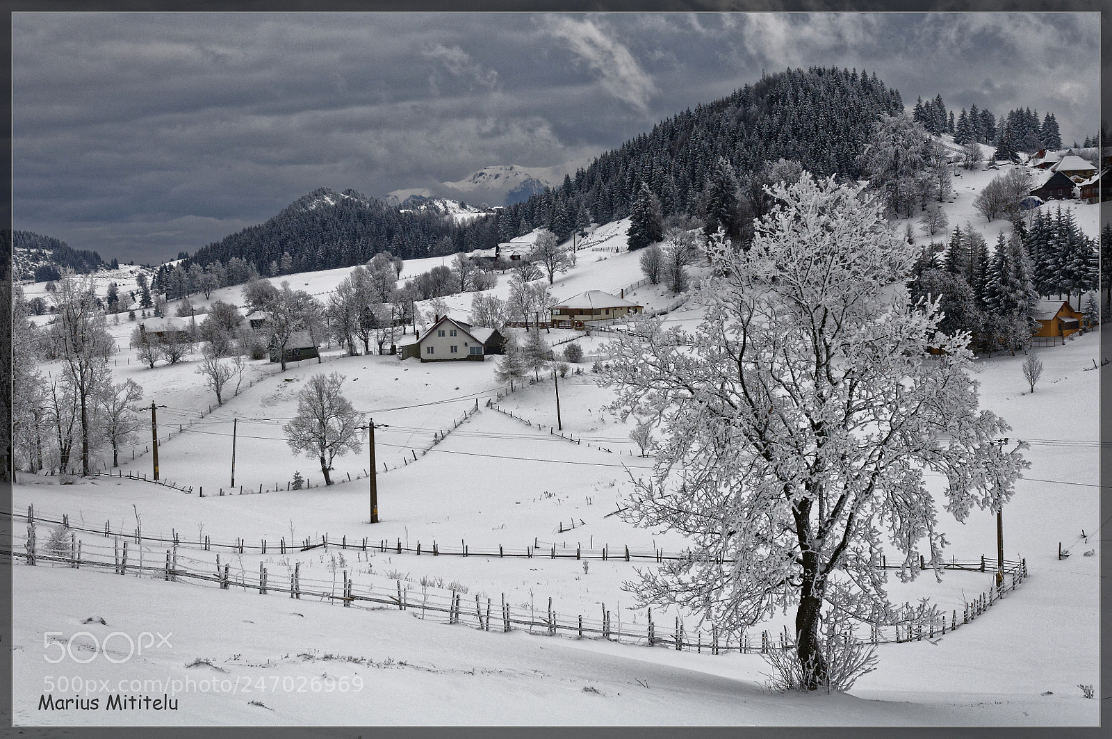 Nikon D300S sample photo. Mer photography