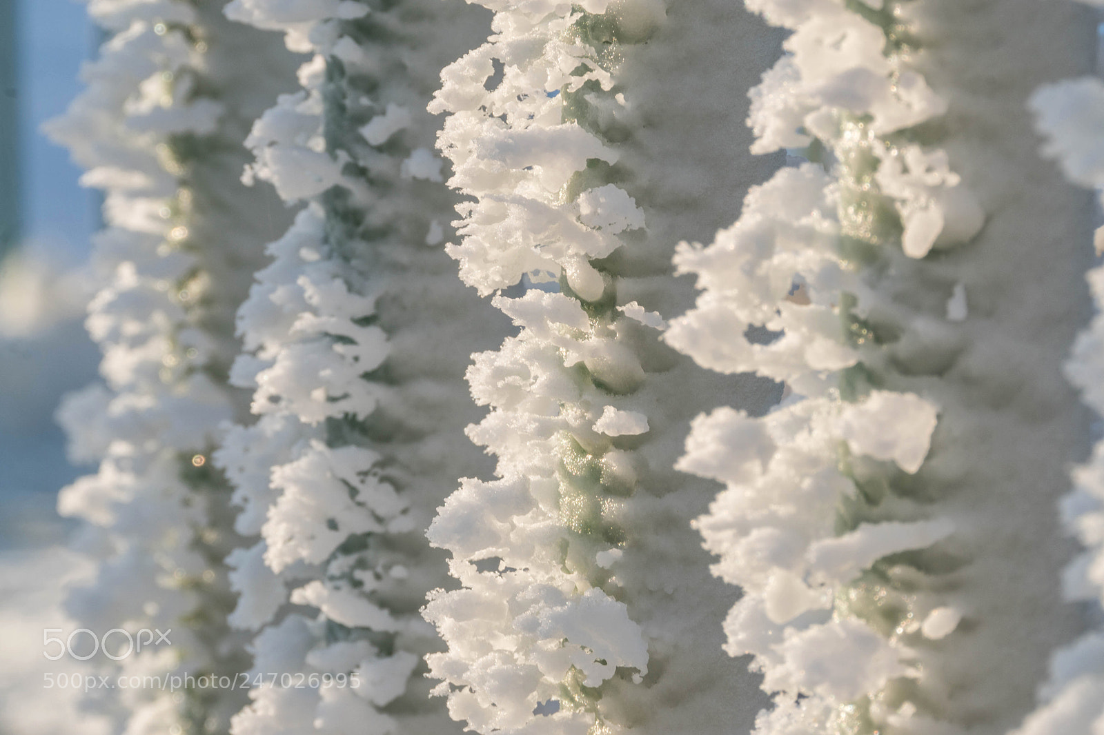 Sony ILCA-77M2 sample photo. Ice on a fence photography