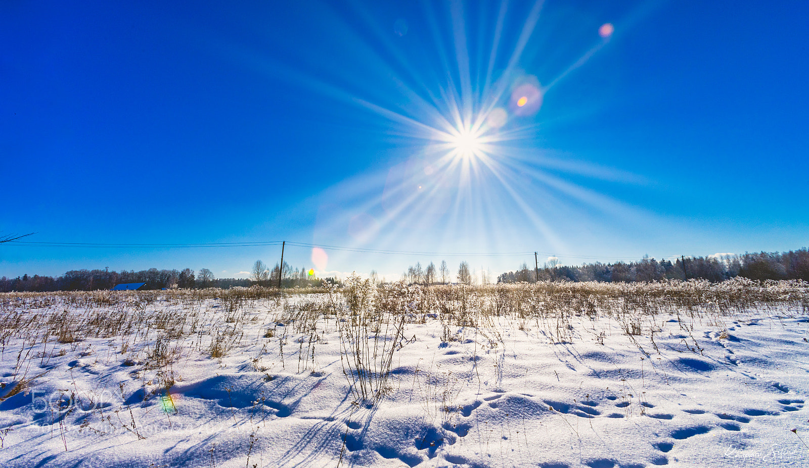 Sony a7 II sample photo. Winter sun photography
