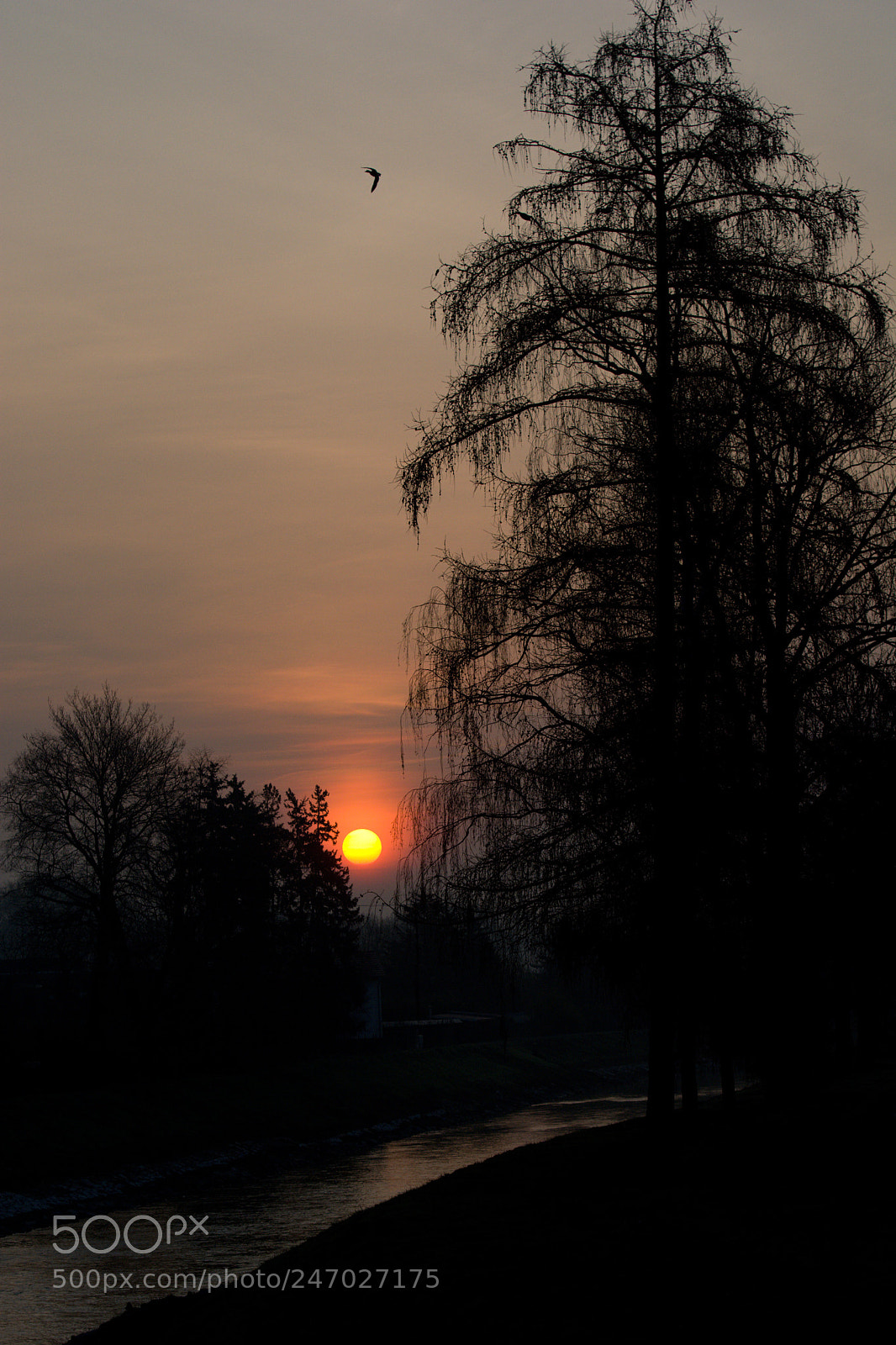 Nikon D7100 sample photo. Ráno u vody photography