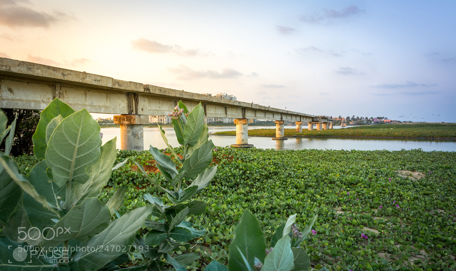 Nikon D7100 sample photo. Cr photography