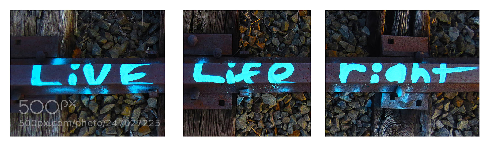 Canon PowerShot SX50 HS sample photo. Live life right photography