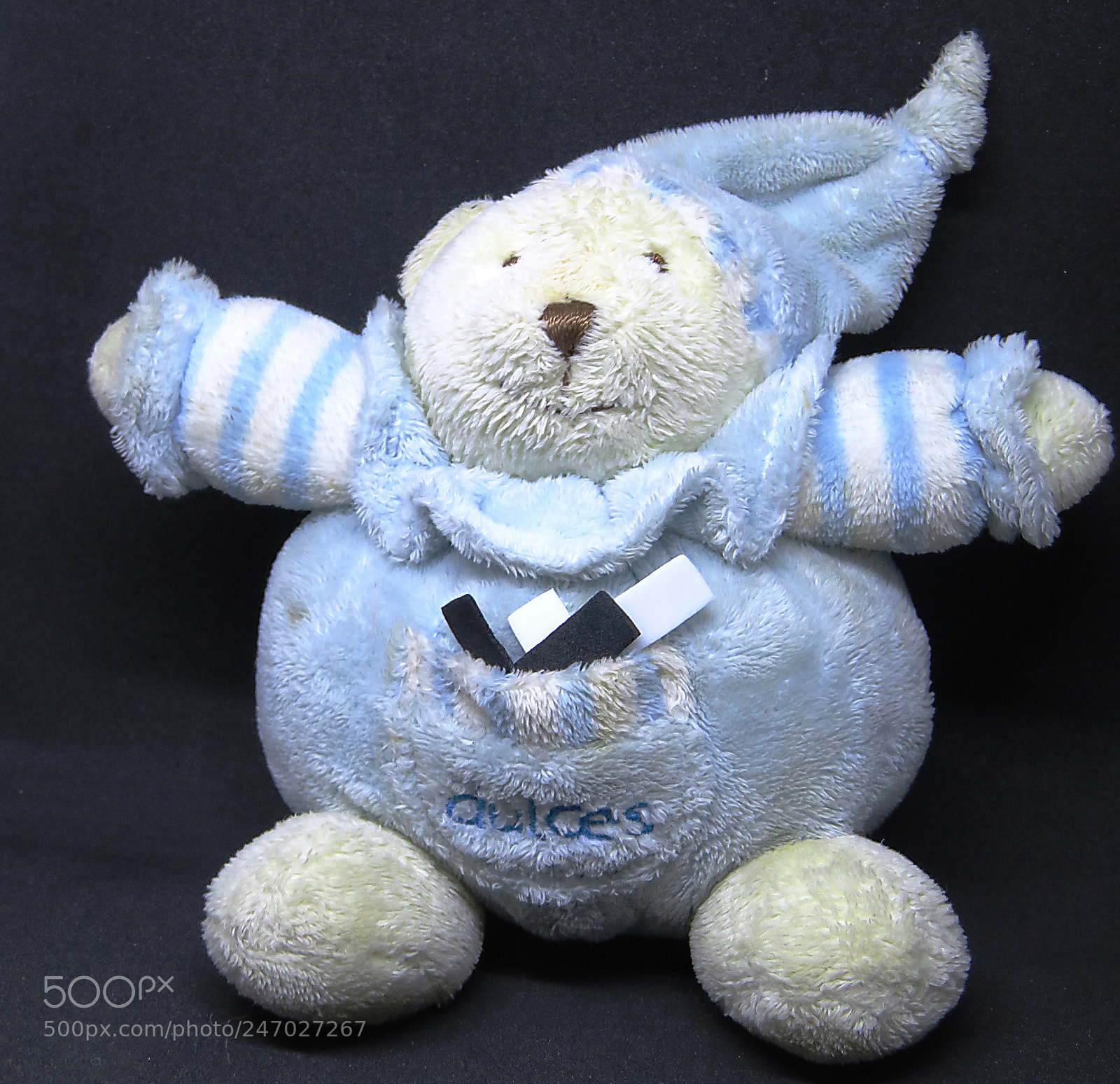 Canon PowerShot SX710 HS sample photo. Dulce (sweet) bear!!! photography