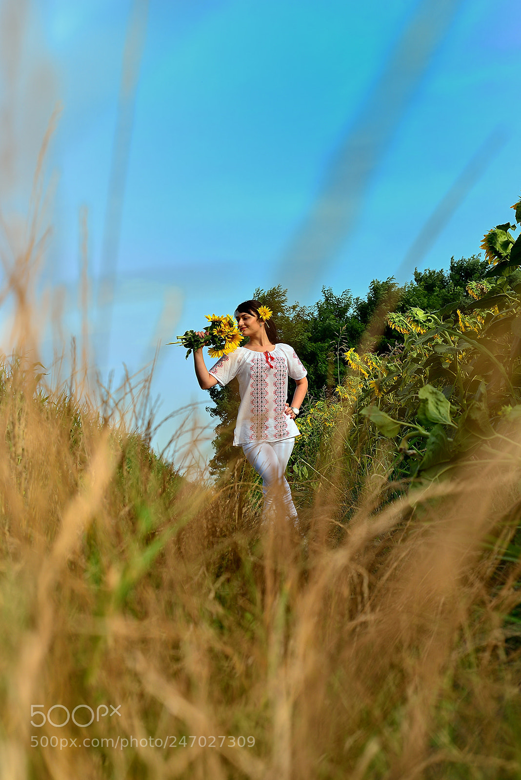 Nikon D610 sample photo. Ph photography